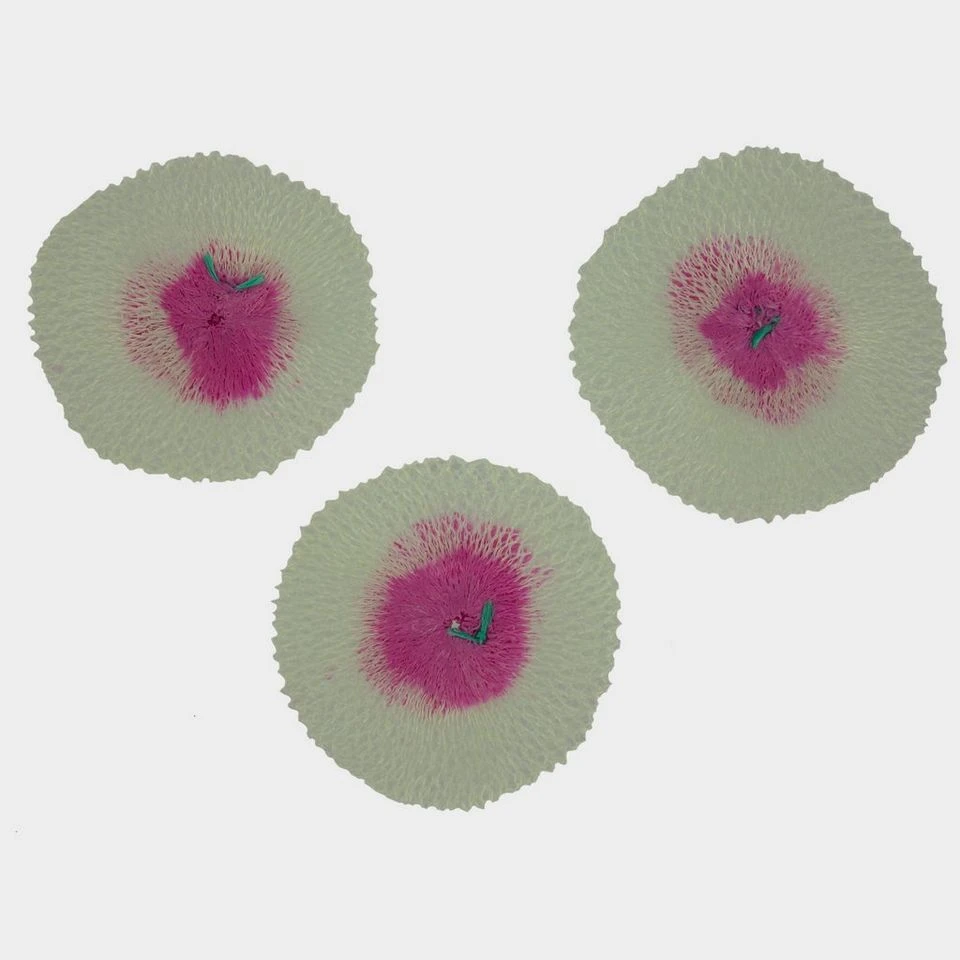 Coleman Mantles - 3 Pack 1 Coleman Mantles - 3 Pack